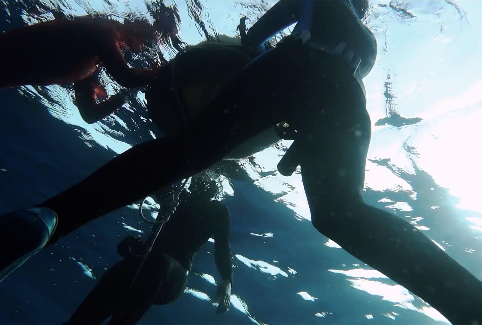 Free Diving Cyprus gallery photo 2